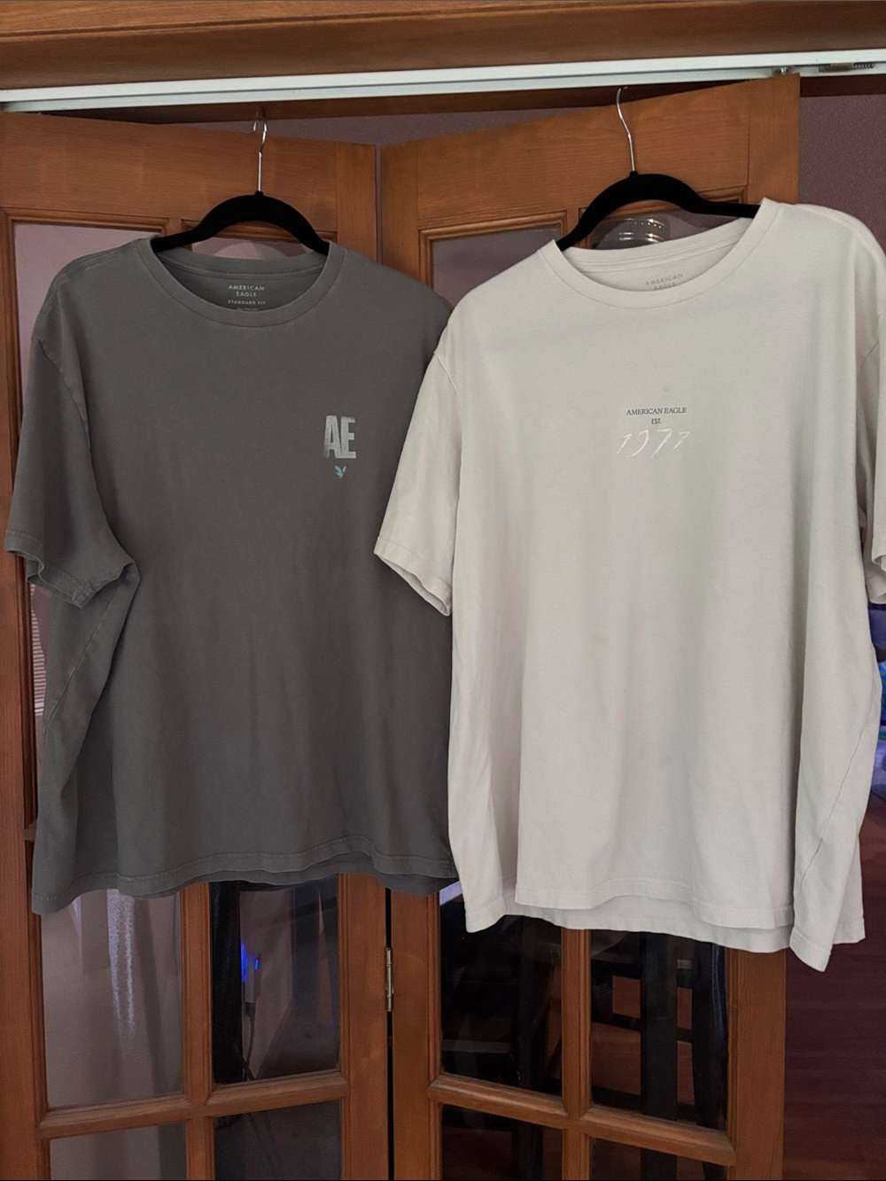 American Eagle Graphic Tee Duo